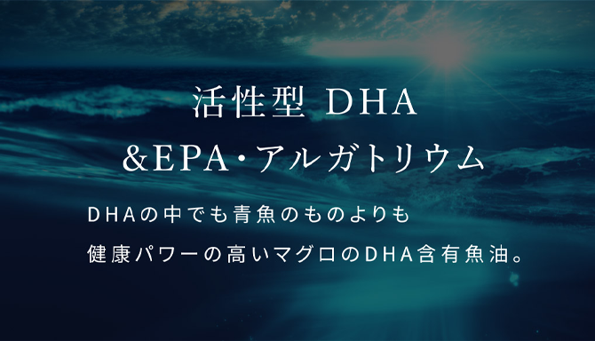 活性化DHA（アルガトリウム）　マグロから取れた魚油を濃縮し、DHAの中でも青背の魚のDHAよりも抗酸化能力の高いものを指します。